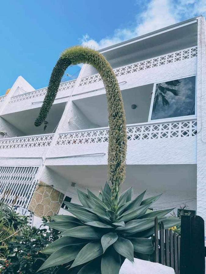 Loft On The Beach Corralejo Irent Fuerteventura Dış mekan fotoğraf
